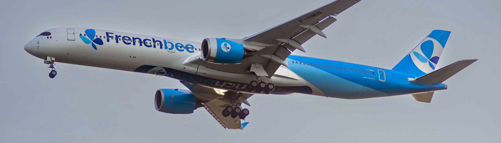 A350-1000 French Bee F-HMIB