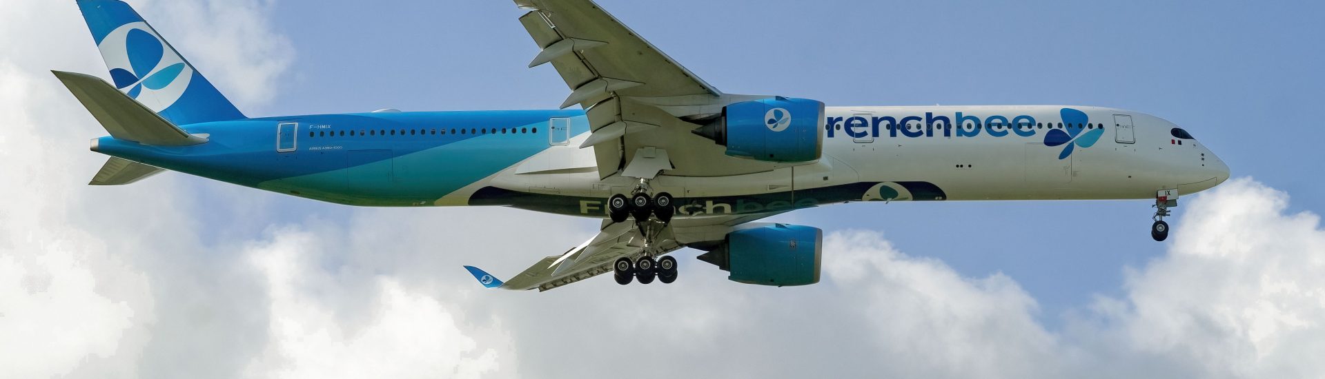 A350-1000 French Bee F-HMIX