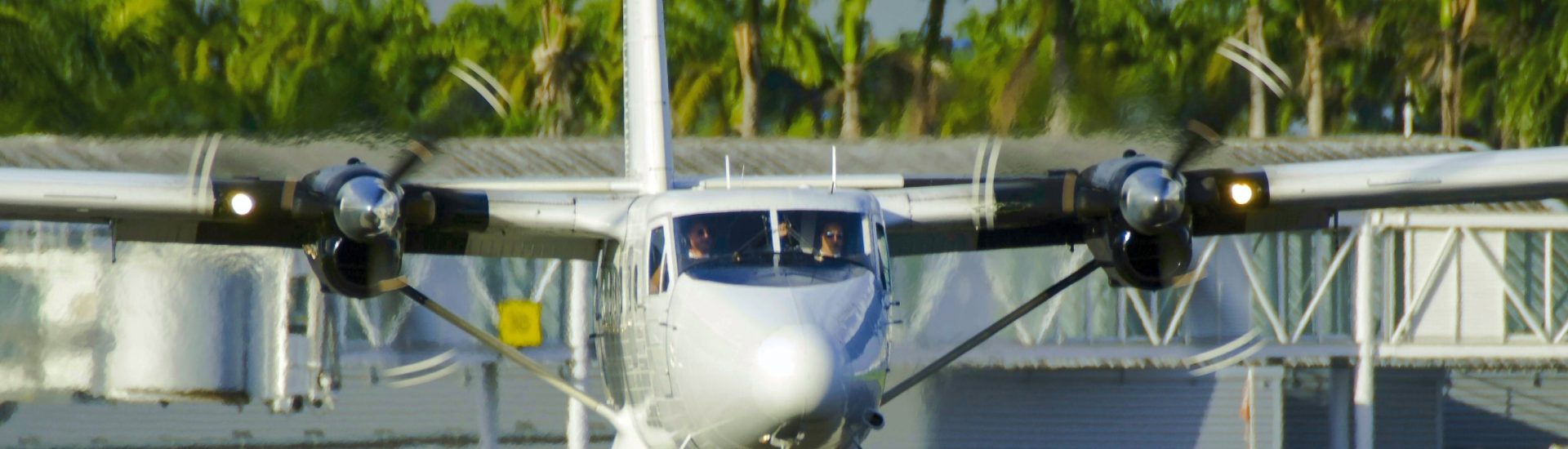 DHC-6-300 Air Antilles F-OIJY